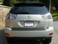 2008 Bamboo Pearl Lexus RX 350  photo #5