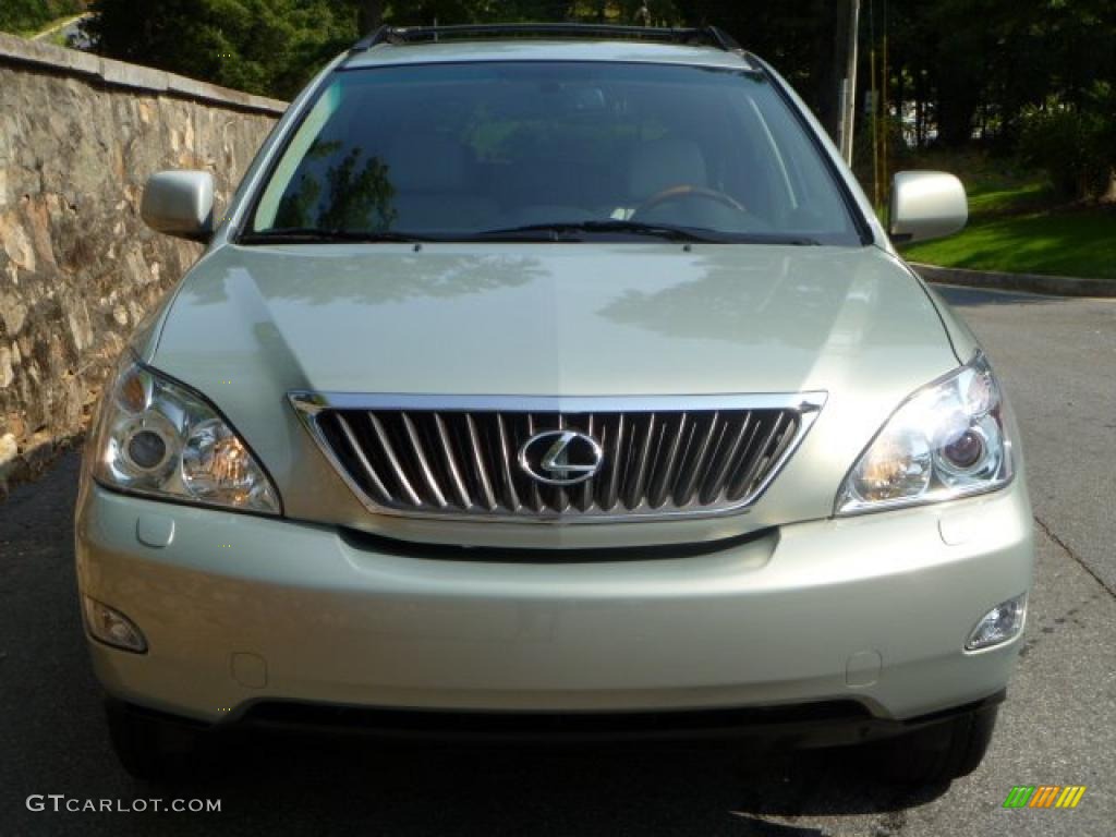 2008 RX 350 - Bamboo Pearl / Light Gray photo #18