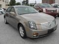 Radiant Bronze - CTS Sedan Photo No. 4