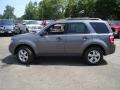 2010 Sterling Grey Metallic Ford Escape XLT  photo #2