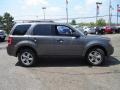 2010 Sterling Grey Metallic Ford Escape XLT  photo #6