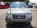 2010 Sterling Grey Metallic Ford Escape XLT  photo #8