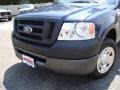 2007 Dark Blue Pearl Metallic Ford F150 XL Regular Cab  photo #9