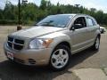 Light Sandstone Metallic - Caliber SXT Photo No. 1