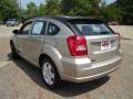Light Sandstone Metallic - Caliber SXT Photo No. 3