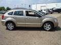 Light Sandstone Metallic - Caliber SXT Photo No. 6