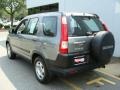 Silver Moss Metallic - CR-V LX 4WD Photo No. 4