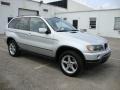 Titanium Silver Metallic - X5 3.0i Photo No. 6