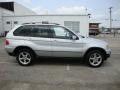 Titanium Silver Metallic - X5 3.0i Photo No. 7