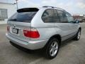 Titanium Silver Metallic - X5 3.0i Photo No. 8