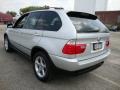 Titanium Silver Metallic - X5 3.0i Photo No. 10