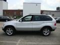 Titanium Silver Metallic - X5 3.0i Photo No. 11