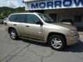 2006 Sand Beige Metallic GMC Envoy SLE 4x4  photo #2