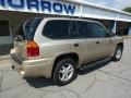 2006 Sand Beige Metallic GMC Envoy SLE 4x4  photo #10