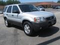 2003 Satin Silver Metallic Ford Escape XLT V6  photo #3