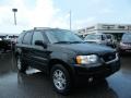 2004 Black Ford Escape Limited 4WD  photo #7