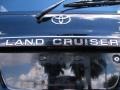 Black - Land Cruiser  Photo No. 9