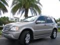 2005 Pewter Metallic Mercedes-Benz ML 350 4Matic Special Edition  photo #2