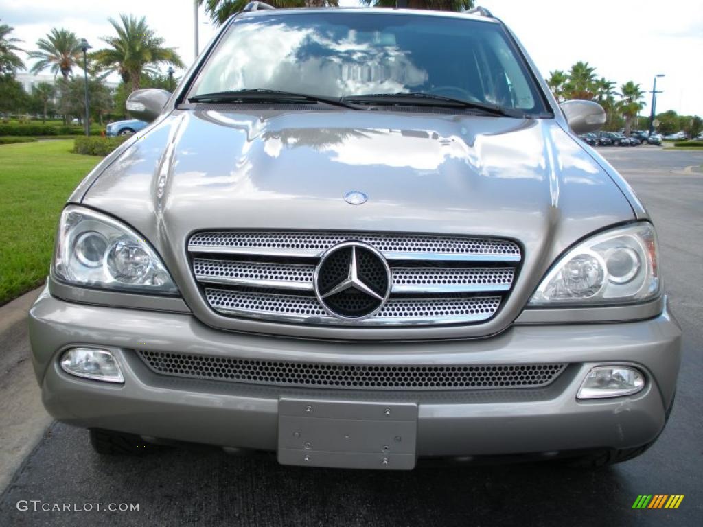2005 ML 350 4Matic Special Edition - Pewter Metallic / Charcoal photo #3