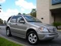 2005 Pewter Metallic Mercedes-Benz ML 350 4Matic Special Edition  photo #4