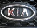 2011 Dark Cherry Kia Sorento LX V6  photo #24