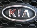 2011 Spicy Red Kia Sorento LX V6  photo #24