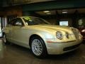 2007 Winter Gold Metallic Jaguar S-Type 3.0 #34241907
