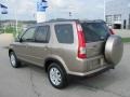 Sahara Sand Metallic - CR-V SE 4WD Photo No. 10