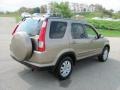 Sahara Sand Metallic - CR-V SE 4WD Photo No. 11