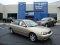 2001 Champagne Hyundai Elantra GLS #34242194