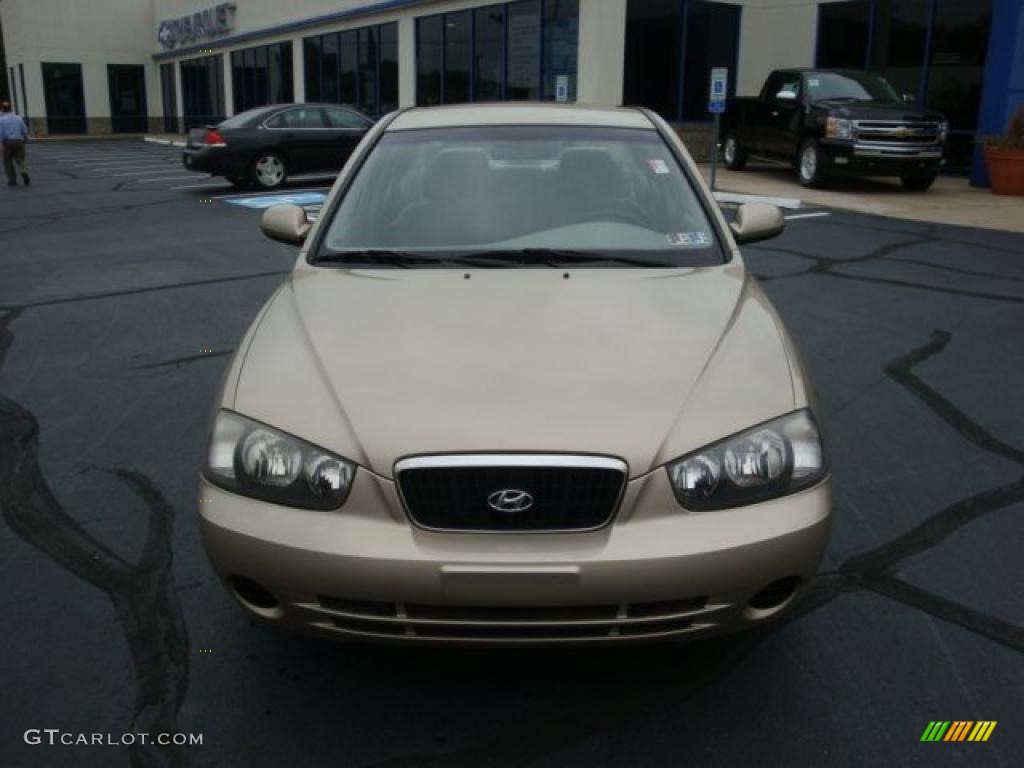 2001 Elantra GLS - Champagne / Beige photo #6