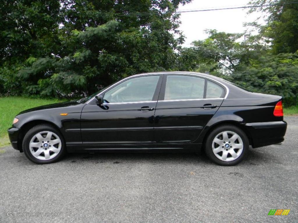 2004 3 Series 325xi Sedan - Jet Black / Natural Brown photo #5