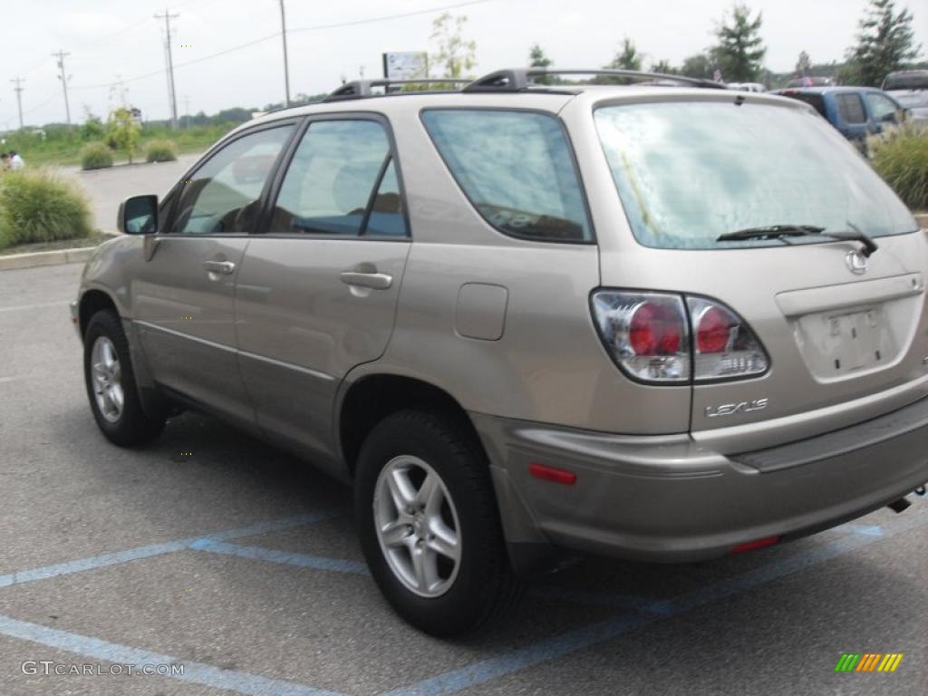 2003 RX 300 AWD - Burnished Gold Metallic / Ivory photo #4