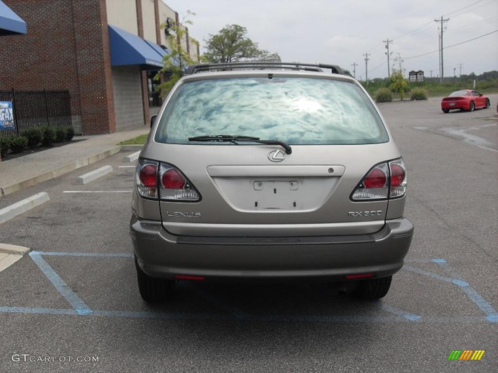 2003 RX 300 AWD - Burnished Gold Metallic / Ivory photo #5
