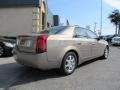 Radiant Bronze - CTS Sedan Photo No. 6