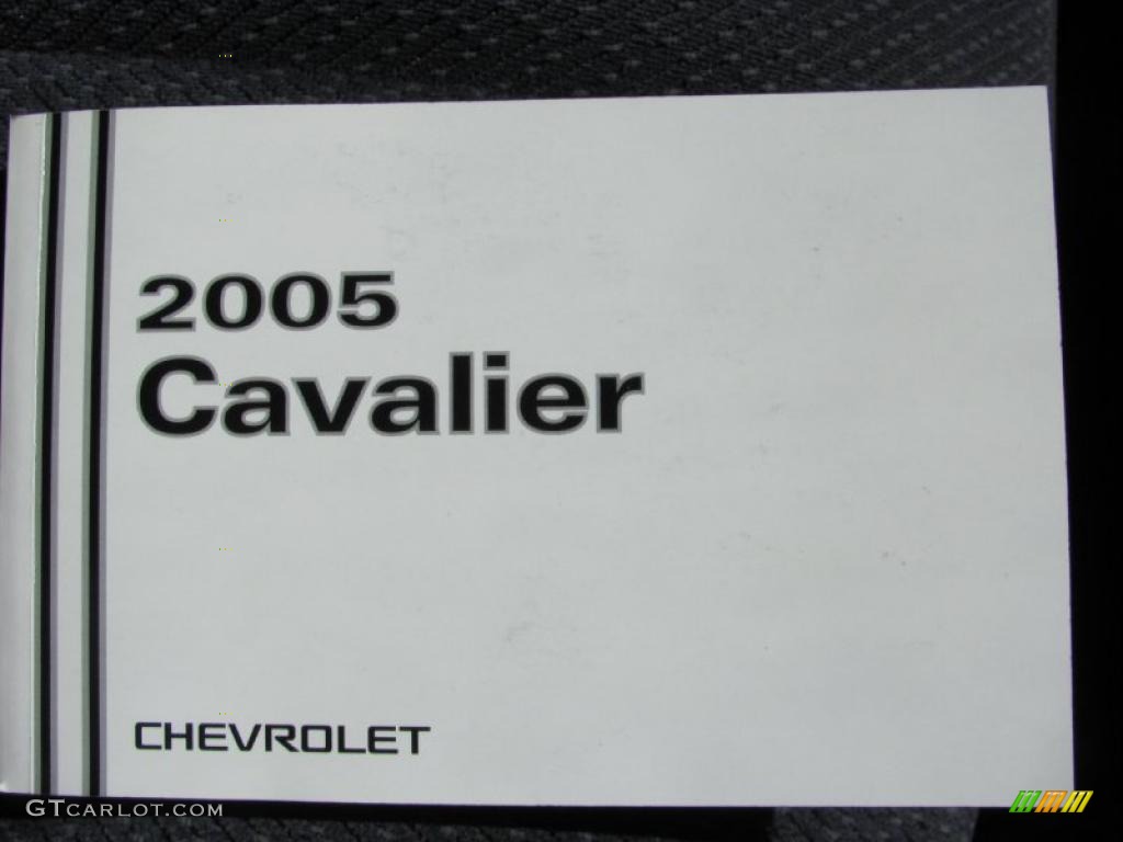 2005 Cavalier LS Coupe - Summit White / Graphite Gray photo #10