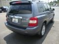 Bluestone Metallic - Highlander Hybrid Limited 4WD Photo No. 5