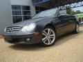 Steel Grey Metallic - CLK 350 Cabriolet Photo No. 1