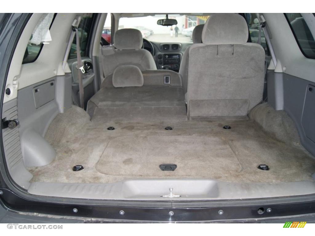 2006 TrailBlazer LS 4x4 - Dark Gray Metallic / Light Gray photo #9