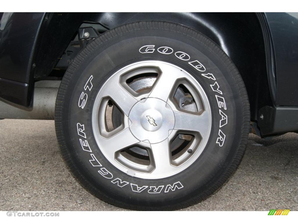 2006 TrailBlazer LS 4x4 - Dark Gray Metallic / Light Gray photo #10