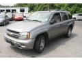 Graystone Metallic - TrailBlazer LS 4x4 Photo No. 1