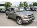 Graystone Metallic - TrailBlazer LS 4x4 Photo No. 3