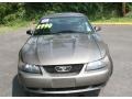 2002 Mineral Grey Metallic Ford Mustang V6 Coupe  photo #2