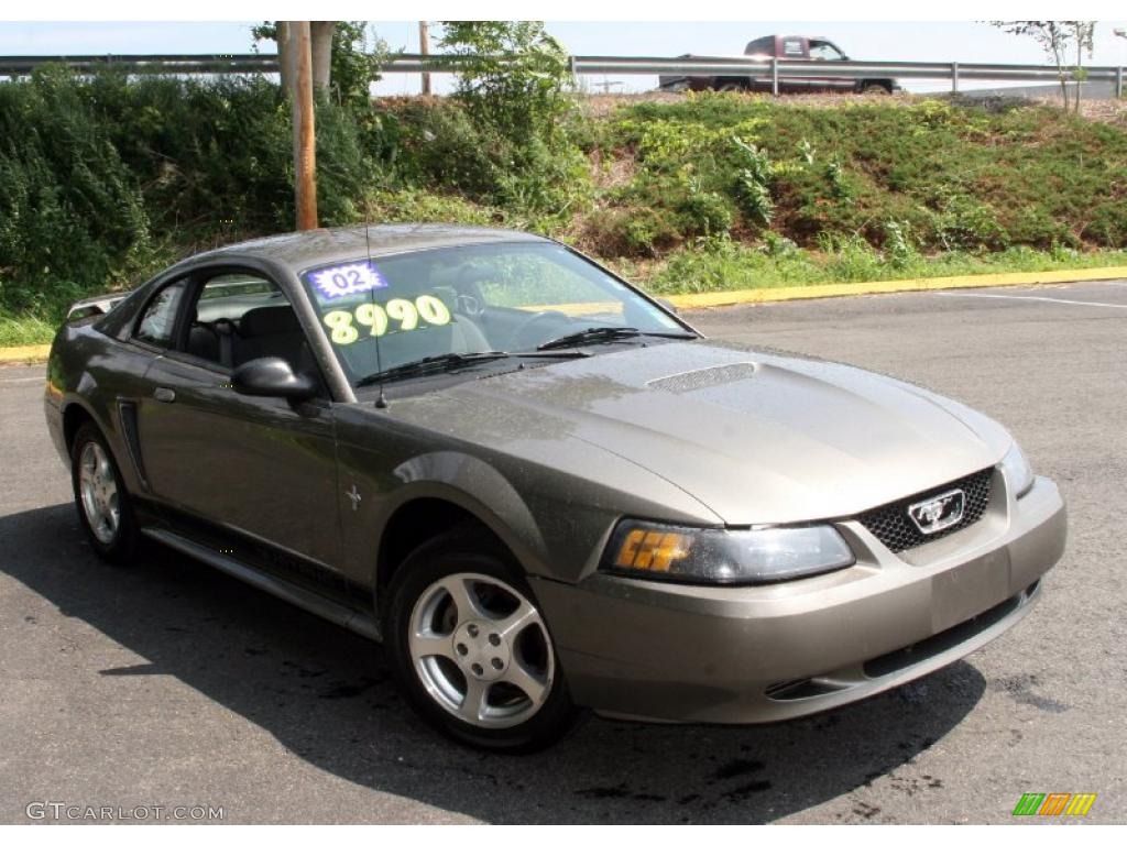 2002 Mustang V6 Coupe - Mineral Grey Metallic / Dark Charcoal photo #3