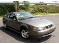 2002 Mineral Grey Metallic Ford Mustang V6 Coupe  photo #3