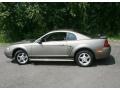 2002 Mineral Grey Metallic Ford Mustang V6 Coupe  photo #8