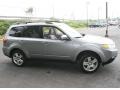 2009 Spark Silver Metallic Subaru Forester 2.5 X Premium  photo #4