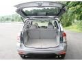 2009 Spark Silver Metallic Subaru Forester 2.5 X Premium  photo #7