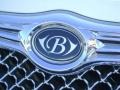 Cool Vanilla - 300 C HEMI AWD Photo No. 10