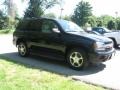Black - TrailBlazer LS 4x4 Photo No. 3